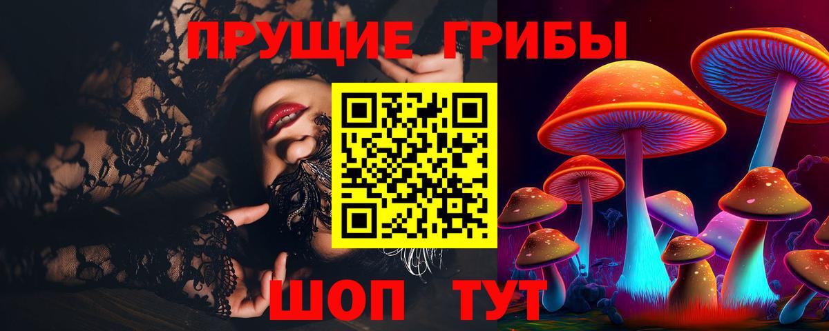 Псилоцибиновые грибы MAGIC MUSHROOMS  Вход с VPN  Сокол 
